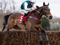 L'Homme Presse takes brave fifth in Gold Cup