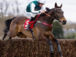 L'Homme Presse takes brave fifth in Gold Cup