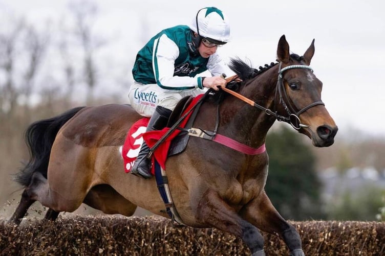 L'Homme Presse was fifth in the Gold Cup. File shot