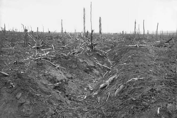 The aftermath of the Battle of Deville Wood