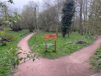 
Where have all the daffs from the Memorial Bank gone? 