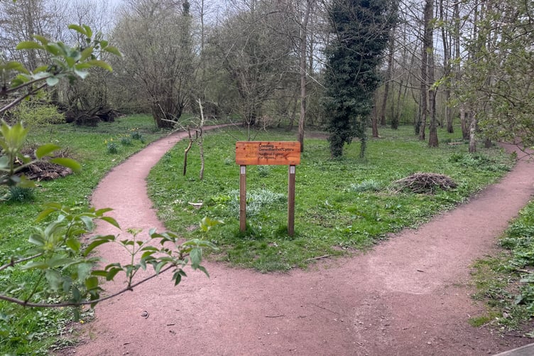 Castle Meadows Copse