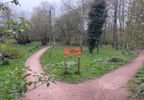 Where have all the daffs from the Memorial Bank gone?