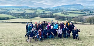 Milestone 500,000 trees planted in Wales to combat climate change