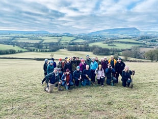 Milestone 500,000 trees planted in Wales to combat climate change