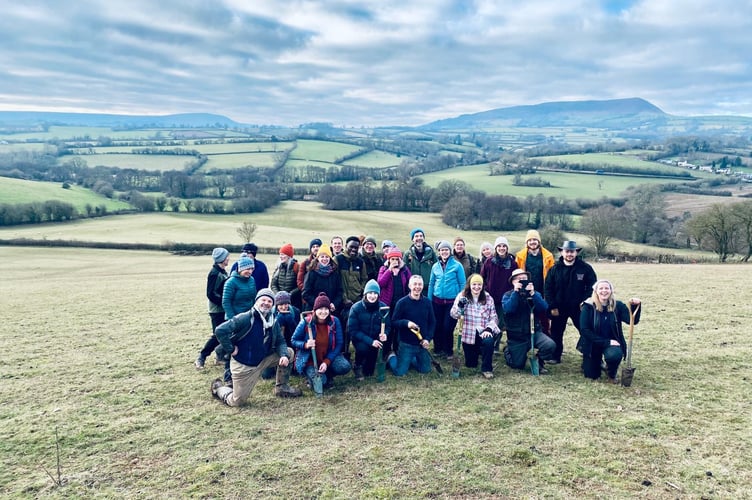 Planting trees on the Skirrid