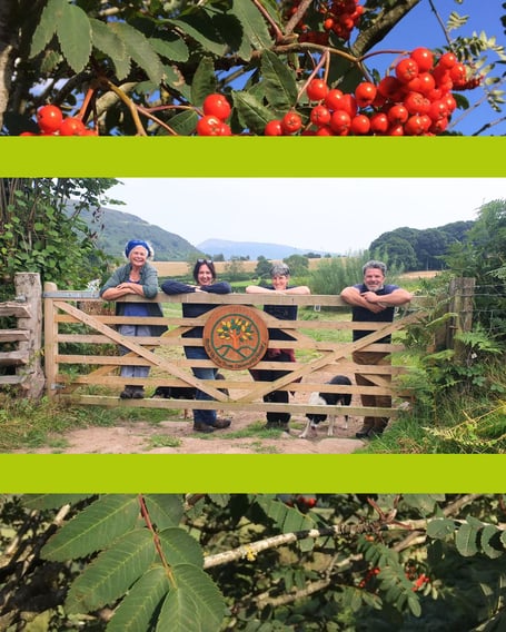 Stump up for trees nursery black mountains