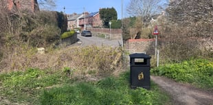 
A brand new bin for a brand new way of thinking! 