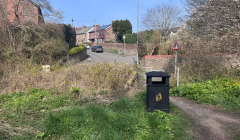 
A brand new bin for a brand new way of thinking! 