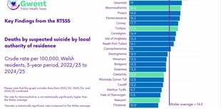 Suspected suicide rates 'statistically significant' in county