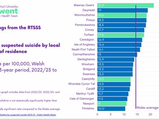 Suspected suicide rates 'statistically significant' in county