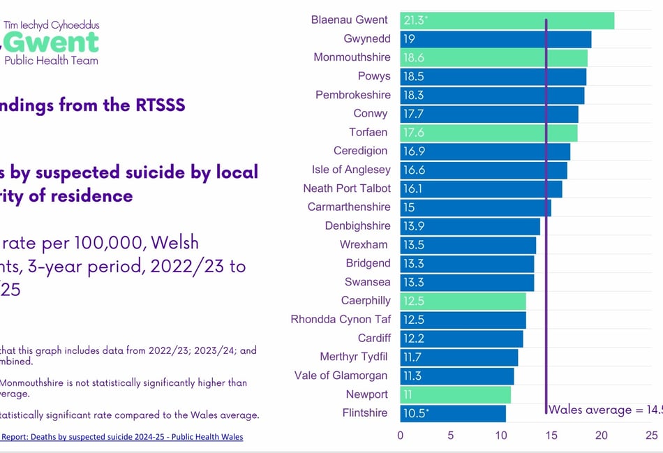 Suspected suicide rates 'statistically significant' in county