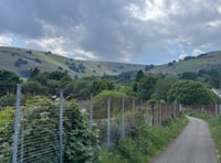 Two thirds of Welsh residents want better access to the countryside