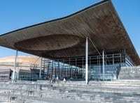 New Senedd voting system poorly understood by public, study reveals