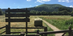 
Make hay while the sun shines! 