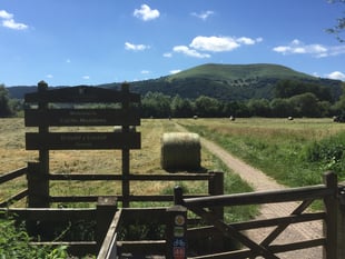 
Make hay while the sun shines! 