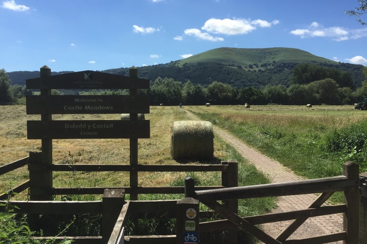 Castle Meadows
