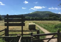 Make hay while the sun shines!