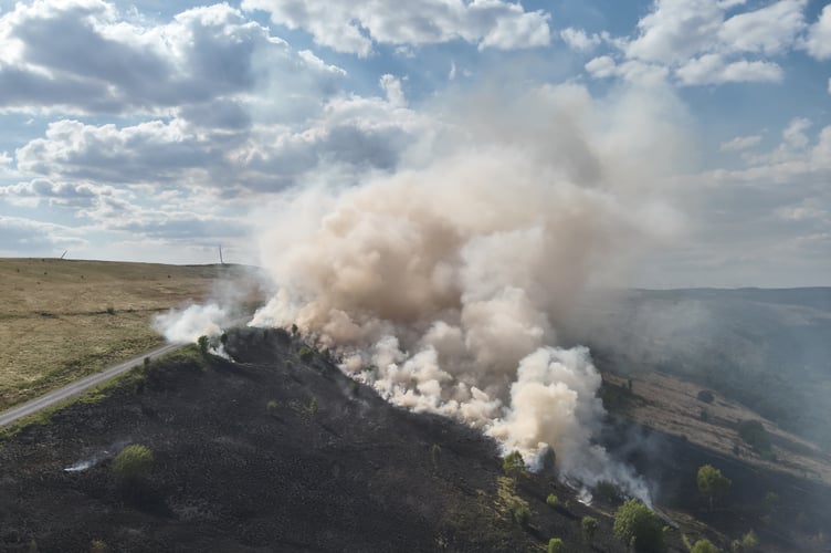 Wildfire