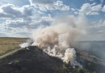 Human-Triggered Wildfires Surge in South Wales