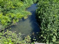 

Castle Meadows polluted watercourse has cleared for now! 