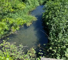 

Castle Meadows polluted watercourse has cleared for now! 