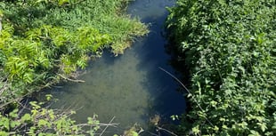 

Castle Meadows polluted watercourse has cleared for now! 