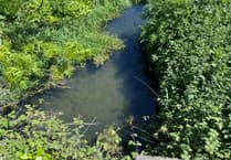Castle Meadows polluted watercourse has cleared for now!