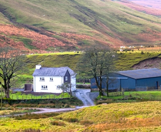 Rare opportunity to take on a farm in the stunning Elan Valley
