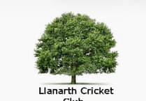 Will-power wins through with 81 and four wickets