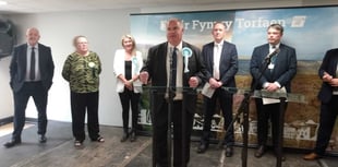 New MSs all fought each other at previous council by-election 