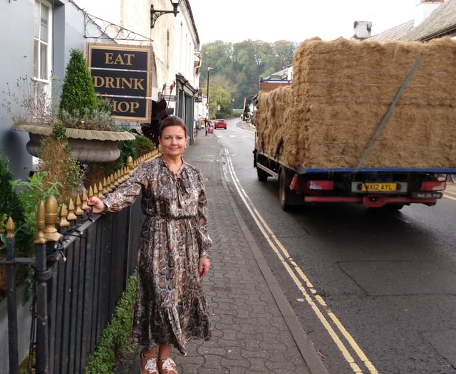 Air quality monitoring in Monmouthshire town to be reduced