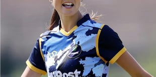 Avenue Road's conveyor belt of cricketing talent