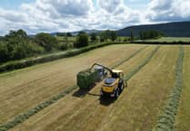 Royal Welsh grassland event set to showcase future of farming