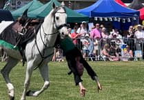 Horsing around at this year's Steam Rally!