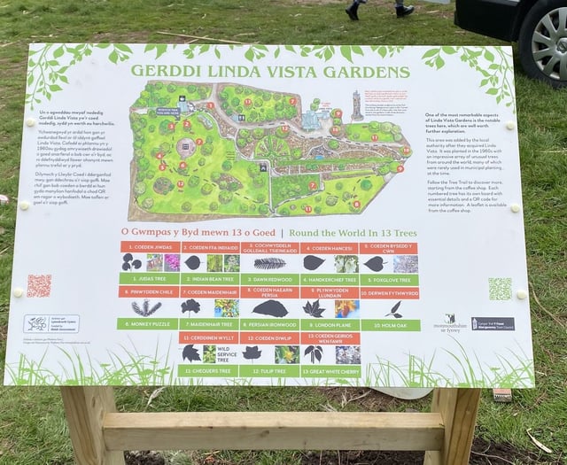 David and Sher commissioned for Linda Vista improvements