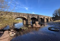 Fish spotted in the River Usk!