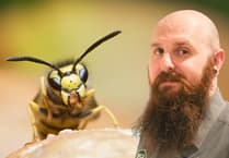 Protect nature and deter pests this summer