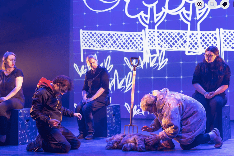 The cast of The Curious Incident of the Dog in the Nigh-time