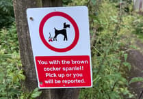 An illegal sign targeting spaniel owners appears in Abergavenny