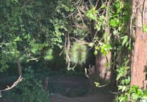 Shadowy and otherworldly figure spotted in Abergavenny woodland