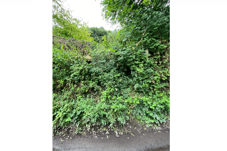 The impassable overgrown steps and stile off Manson Lane