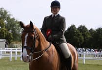 Meet the ex-Olympic horse and rider from Usk competing at a national championship