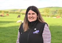 Wales YFC seeks top young stock producer