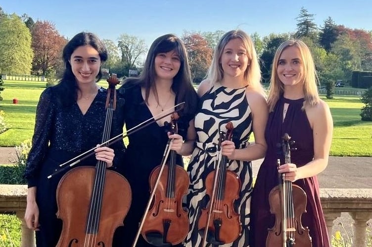 The Vita String Quartet