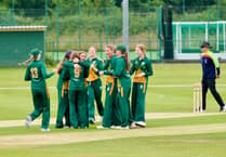 School proves a hit partnering with Cricket Wales