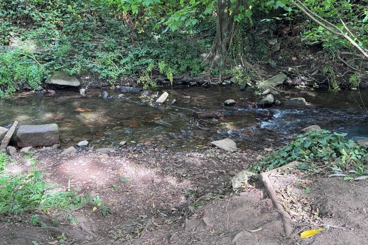 The Gavenny