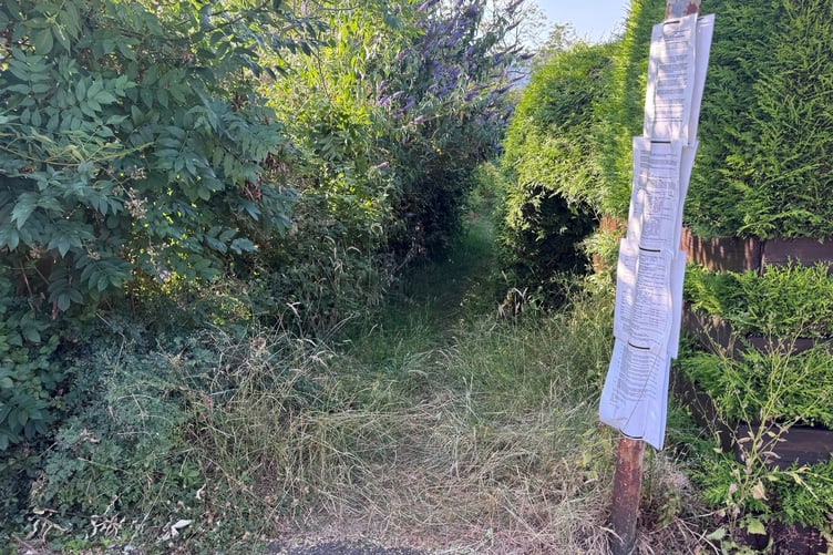 a path