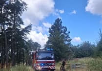 Firefighters still tackling Blaenavon mountain blaze almost 24 hours after it started