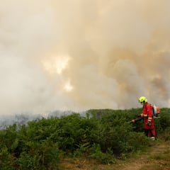Air quality after wildfires fourth worst in world